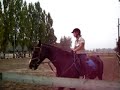 video Carrousel journée du cheval INTERDIT DE ME LA VOLER