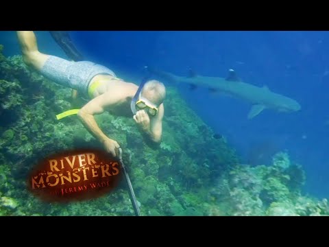 Underwater Spear Fishing | SPECIAL EPISODE! | River Monsters
