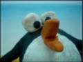 PINGU & NITO