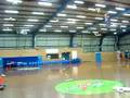 Indoors RC Powers Extra 300