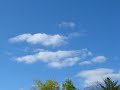 Canon A 720 Is Test