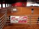 Glenn and Oaktree Sam competing at cattledog trial