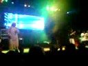 Shamanes -  One Love Raggamufin