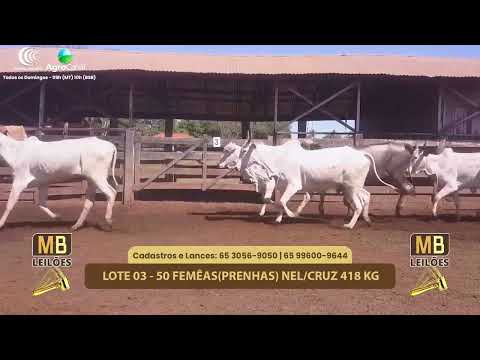 508� LEIL�O VIRTUAL MB LEIL�ES