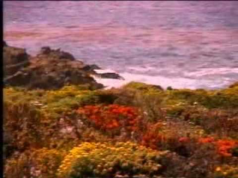 Serenity - This 22-minute relaxation video offers a simple and pleasant way to diminish the effects of life's usual worries and concerns. Virtual Serenity: The Journey ...