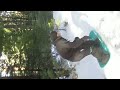 Click here to watch this video Brady Sled Boarding