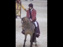 °°Il Mio Maneggio e La Mia Storia°° °°Il Mio Maneggio e La Mia Storia°°