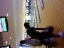 Spinner