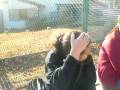 videos de Um Dia no Parquinho So Comedia  kkkkk kito de lins japao