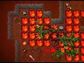 Tibia Secura Hunt Tibia Secura Hunt