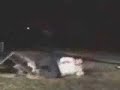jackass