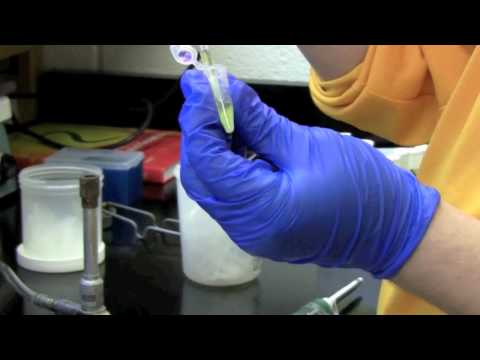 how to isolate e.coli from soil