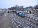 Narrow-Gauge Train