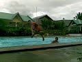 Swiming tricks Swiming tricks