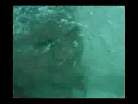 drOwned
