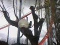 Abismo Parque Atracciones Madrid