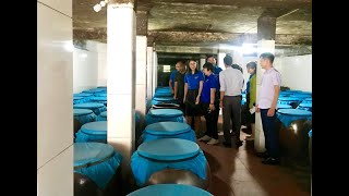 Cụm thi đua Đoàn thanh niên khối thị xã, thành phố: Tham quan mô hình kinh tế tại TP Uông Bí