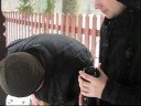 Tropem żubra - Białowieża 2007