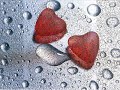 Sar� l\