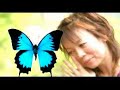 Eiko Shimamiya ULYSSES Live Tour Making Eiko Shimamiya ULYSSES Live Tour Making