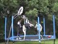 trampolinbasketball