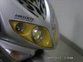 Peugeot Speedfight X-Race by Speedy206