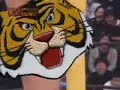 Tiger Tiger