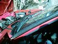 Nitrous Cordia part 1 Nitrous Cordia part 1