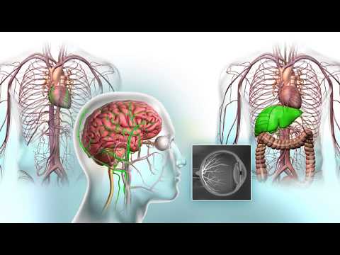 How Fluorescence Guided Imaging Works