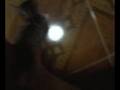 videos de Cositha ;_;.3gp