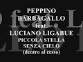 PEPPINO BARBAGALLO