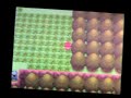 Part 2 - How to chain - How to get shinies on the pokeradar