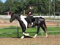 MVI 0427