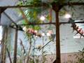 videos de instalation de la bourse haute goulaine 23.11.08.MOV