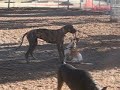 Fun with Maggie 2