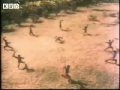 Mini Jet Li /??? kicking Mini Jet Li /??? kicking