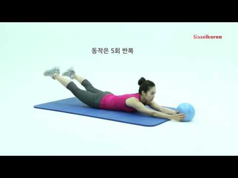 소도구를 이용한 허리 근육 강화 운동