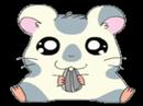 Cute Hamy