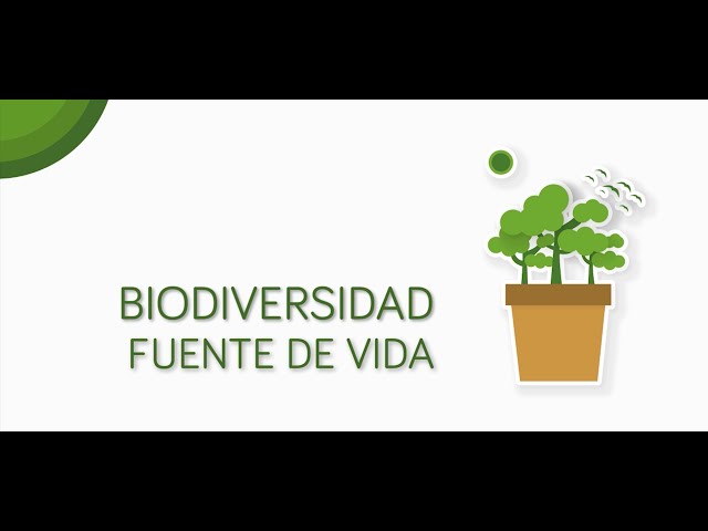BIODIVERSIDAD FUENTE DE VIDA 🌿