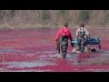 Growing fruit in Lunenburg County - WhyHere.ca ...
