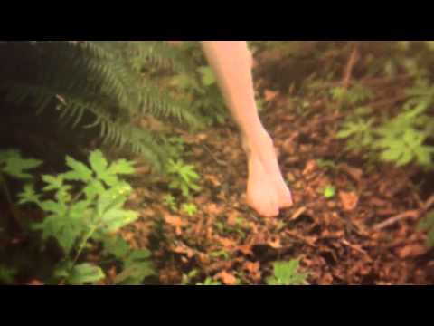 ALCEST – Les Voyages De L’Âme