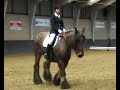 Trekpaard dressuur Trekpaard dressuur