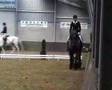 Trekpaard dressuur
