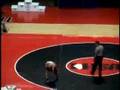 2008 IHSA State Wrestling Highlight Video