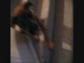 Teddy Playing Around :D