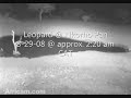Leopard @ Nkorho Pan