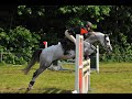 CONCOURS HIPPIQUE (Ponyconcours) Beesel 2008 2009 CONCOURS HIPPIQUE (Ponyconcours) Beesel 2008 2009