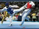 Taekwondo. Torneo Confraternidad Aconcagua 2008