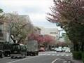 賃貸ハイグレードマンション『馬事公苑パークサイド』２LDK　東急田園都市線　桜新町　世田谷区
