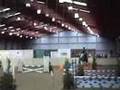 Keysoe showjumping 2.6/9ft